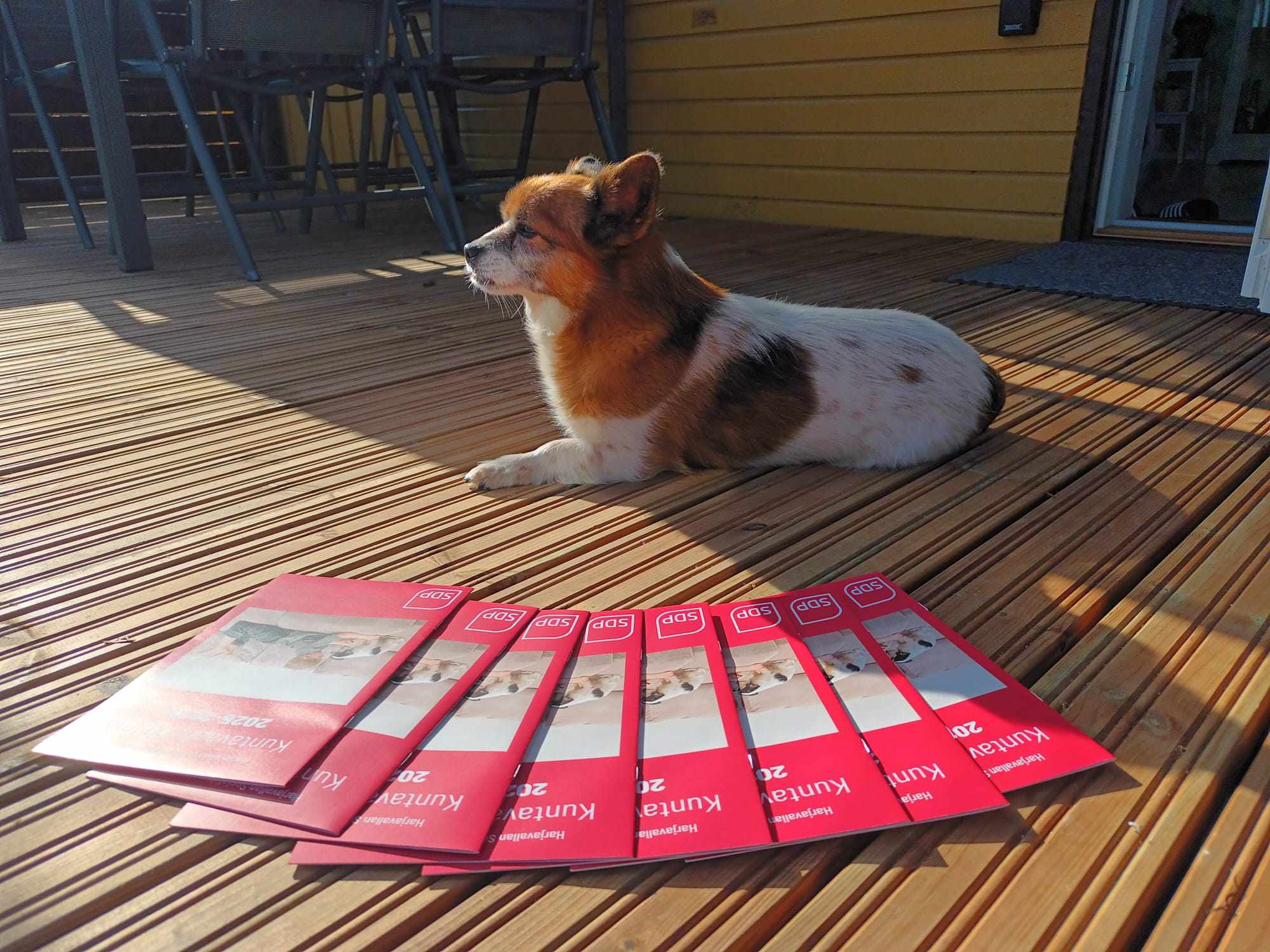 Kuntavaaliohjelma 2025-2029